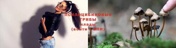 spice Абдулино