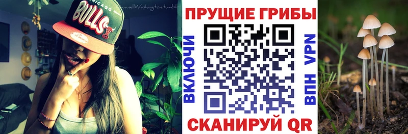 Галлюциногенные грибы GOLDEN TEACHER Сызрань