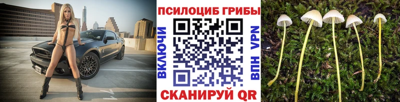 Галлюциногенные грибы Magic Shrooms  Сызрань 
